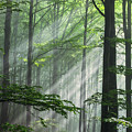 Fleeting Beams