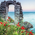 Gate In the Poppies