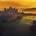 Golden Tuscany