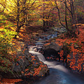 Old River