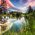 Spring Lake